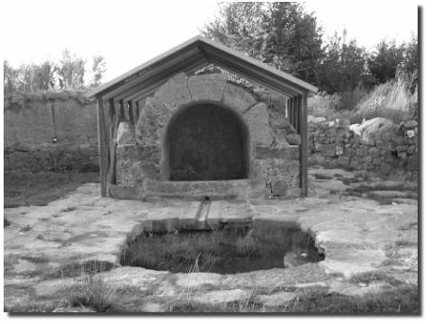 fontana de San Pedro la vi�a